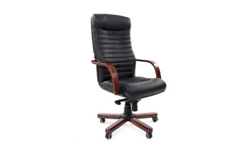 Chairman 480 WD