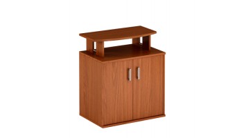 Фригобар (без холодильника) В450