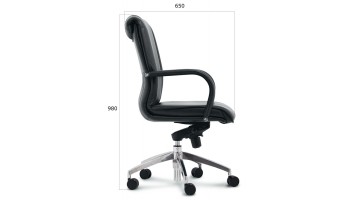 Кресло руководителя Эгейн D80 (кожа)