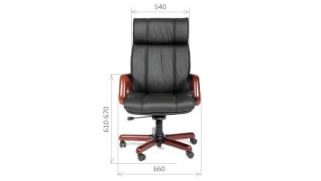 CHAIRMAN 419