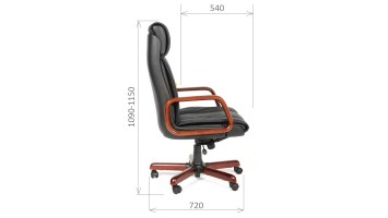 CHAIRMAN 419