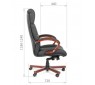 CHAIRMAN 421
