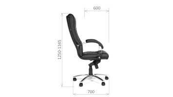 CHAIRMAN 480
