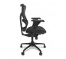 CHAIRMAN 730 CHAIRMAN 730