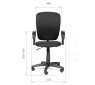 CHAIRMAN 9801 PL CHAIRMAN 9801 PL