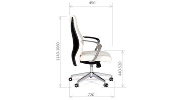 CHAIRMAN Basic M