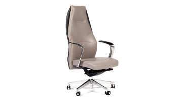 CHAIRMAN Basic