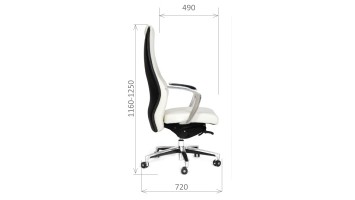 CHAIRMAN Basic