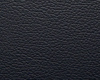Madras 04